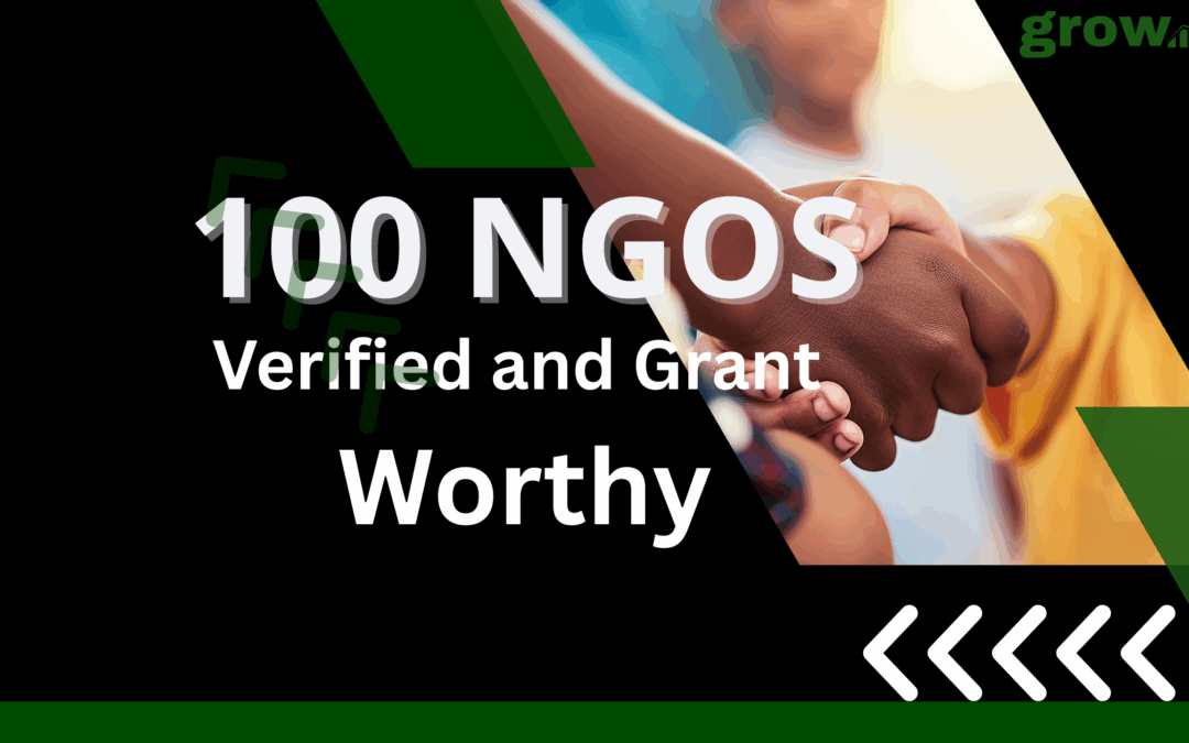 100 Grant Worthy NGO’s In Nigeria